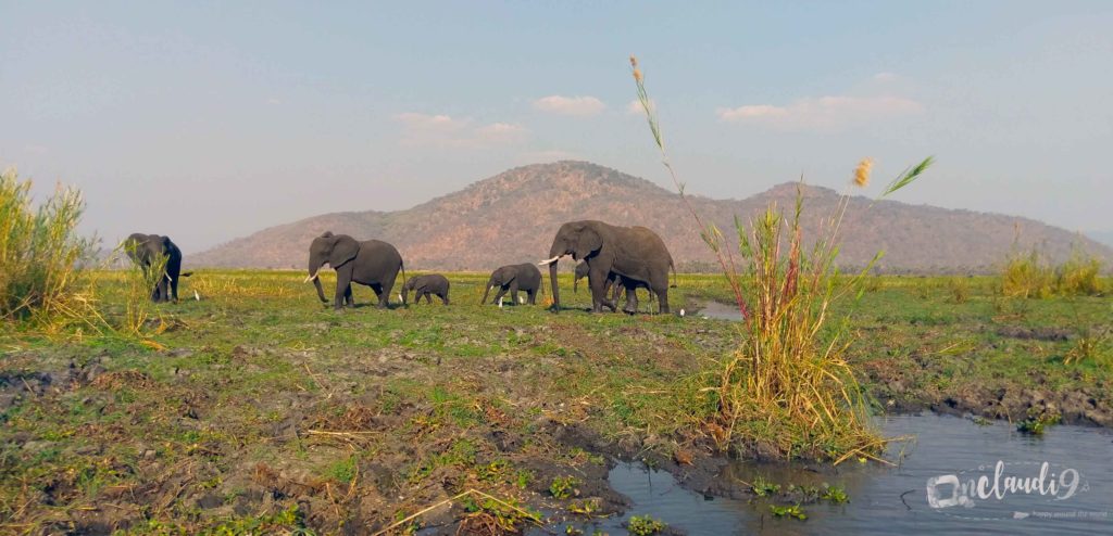 Safari Kruger Park