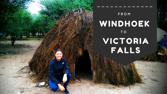 This is a hut in a San Camp in Namibia.