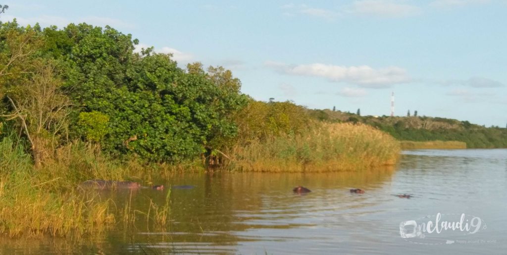 Boat Safari along the St Lucia Rainforests