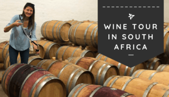Visit unique Local Wineries - Wine tasting experience