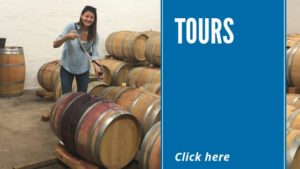 Africa tours